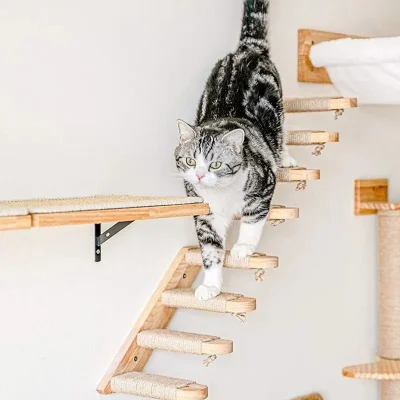 猫猫萝莉攀爬攻略，轻松登顶天守阁