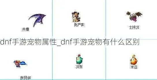 手游dnf宠物哪个好-DNF宠物选择指南