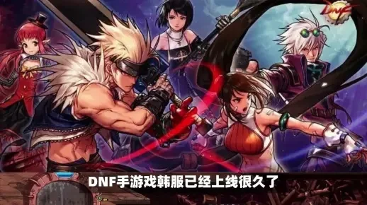 dnf手游韩服汉化球-汉化球魅力指南